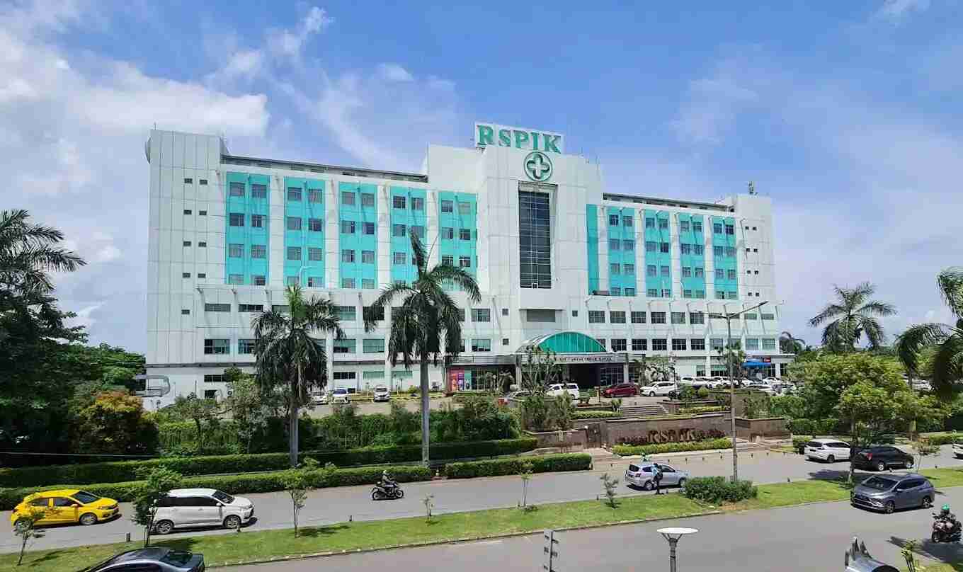 rumah sakit pantai indah kapuk